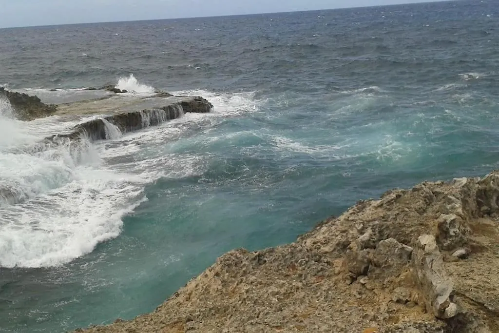 Rosa'S Rust En Pad Apartment Willemstad Curacao